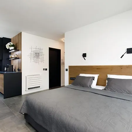 Apartment Croisette, Palais Des Festivals, Beaches, Le Minerve Cannes